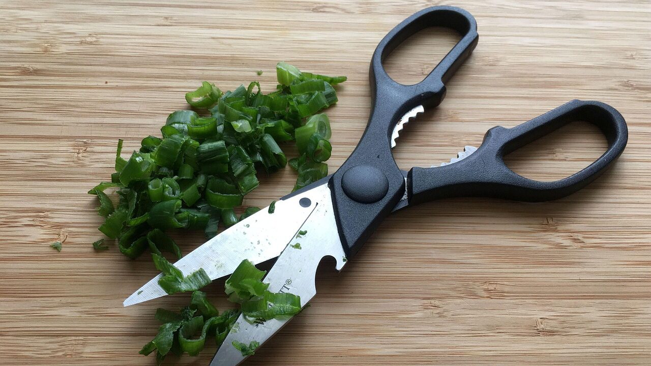 Kitchen Scissors